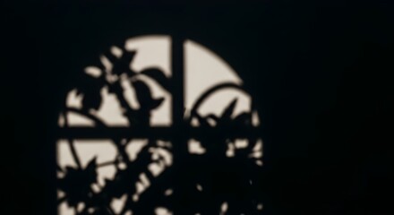 Shadows of leaves and a window frame creating an abstract pattern on a dark surface at nighttime on transparent background