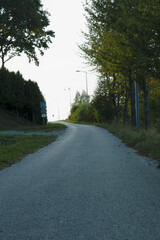 a winding road bordered by trees and streetlights, leading into the distance. The sky above is clear, and the road appears to be in a rural or suburban area.
