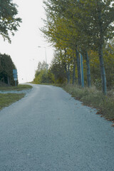 a winding road bordered by trees and streetlights, leading into the distance. The sky above is clear, and the road appears to be in a rural or suburban area.