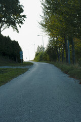 a winding road bordered by trees and streetlights, leading into the distance. The sky above is clear, and the road appears to be in a rural or suburban area.