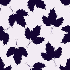 Elements of peony flower with bugs and leaves, brunch with peony flower, floral element, flower composition on white
