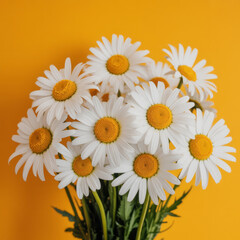 Fototapeta premium Bouquet of White Daisies on Bright Yellow Background