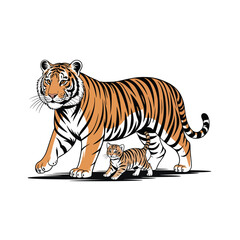 Adult tiger cub walking orange black