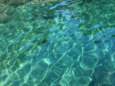 Sea emerald green crystal clear water surface with seagrass.