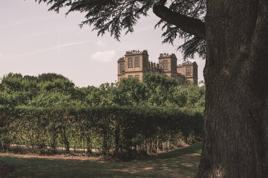 Castle in the woods