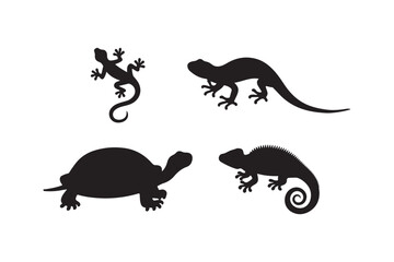 Four silhouette reptiles including a tortoise and lizards