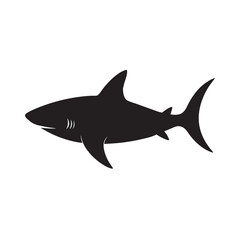 shark isolated on white background