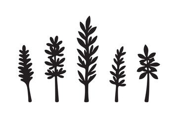 Five stylized black silhouettes of plants with leaves on a white background