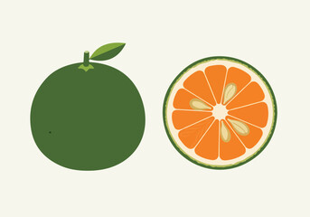 Whole green citrus fruit and a halved slice showing juicy segments, isolated on a light background