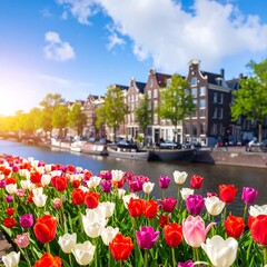 Fototapeta premium Canal scene with tulips