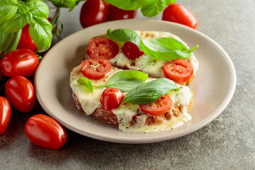 Hot open sandwiches with mozzarella, tomatoes and basil.