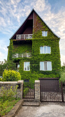 house on the hill green