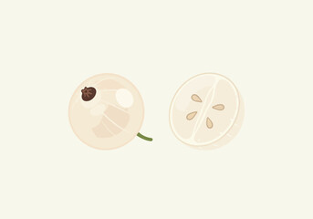Fototapeta premium A whole white currant and a half white currant showing its seeds, isolated on white background