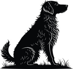 Black and white border collie dog silhouette isolated on white, a cute purebred canine pet