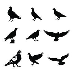 Pigeon Silhouettes for Marketing, Design, and Creative Projects