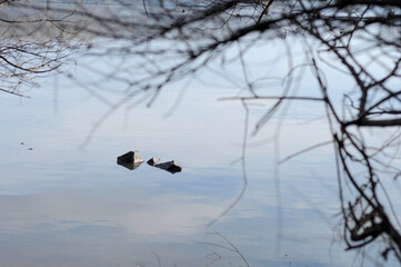 stone tips on the lake