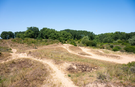 Doornpanne dunes nature park in Oostduinkerke, Koksijde, West Flanders, Belgoium
