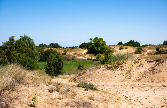 Doornpanne dunes nature park in Oostduinkerke, Koksijde, West Flanders, Belgoium