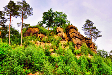 Szwajcaria Lwówecka - potężna grupa skał piaskowcowych.Drzewa i krzewy rosnące na skałach. © Pol Badger