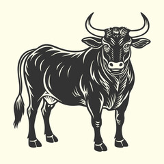 Fototapeta premium Vector illustration of a black and white cow and bull for a farm or agriculture design