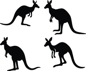 Kangaroo Silhouette Vector