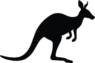 Kangaroo Silhouette Vector