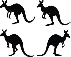 Kangaroo Silhouette Vector