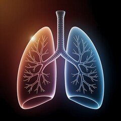 Human lungs anatomy medical illustration
