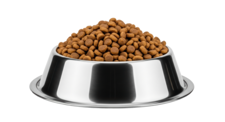 Isolated Bowl of Dry Dog Food