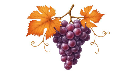 Isolated Grapes