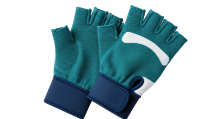 Isolated Workout gloves