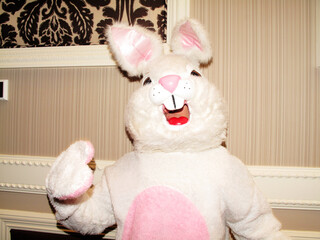 easter bunny laughing