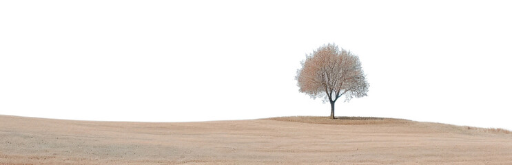 Obraz premium PNG Eifel landscape outdoors horizon.