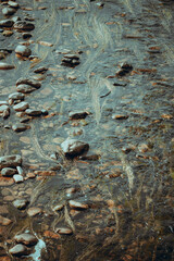 Clear shallow stream with smooth river stones and strands of aquatic grass flowing with the current, creating gentle patterns under sunlight in a tranquil natural setting