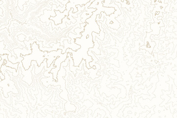 Topographic Line Pattern Background: Contour Map Texture