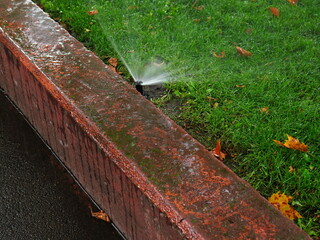 Sprinkle spraying water over green grass on lawn along walkway