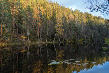 Colorful autumn forest reflecting in still lake water in Østmarka, Norway