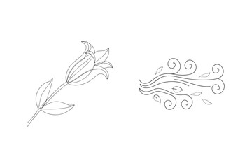 Lily flower and swirling wind with leaves bloom petals