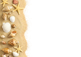 Seashells and Sand Beach Border: Summer Vacation Design Element Isolated on Transparent Background