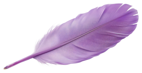 PNG  Vibrant purple feather isolated background