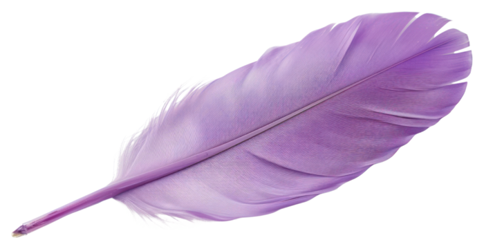PNG  Vibrant purple feather isolated background