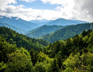 Obraz premium Lush mountain valley view