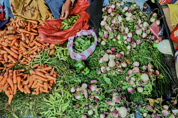 Harvesting lots of vegetables in ground
