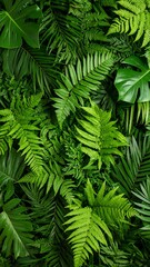 Lush green foliage wall