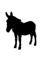 Silhouette of a Donkey Standing