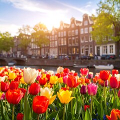 Fototapeta premium Colorful tulips by a canal
