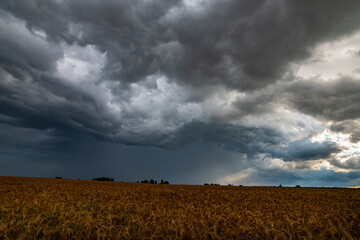 WEATHER Dramatic black rain clouds over fields and country road