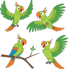 Set of Parrot vector design in white background, Parrot logo design, Parrot illustration vector design