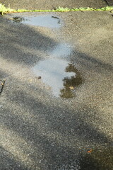 puddle reflection, wet asphalt, rainy day, nature reflection, tree silhouette, moody atmosphere, urban texture, abstract background, water surface, outdoor scenery, calm, dark tones, reflective mood