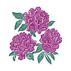 Magenta Peonies with Green Leaves Linocut Art floral